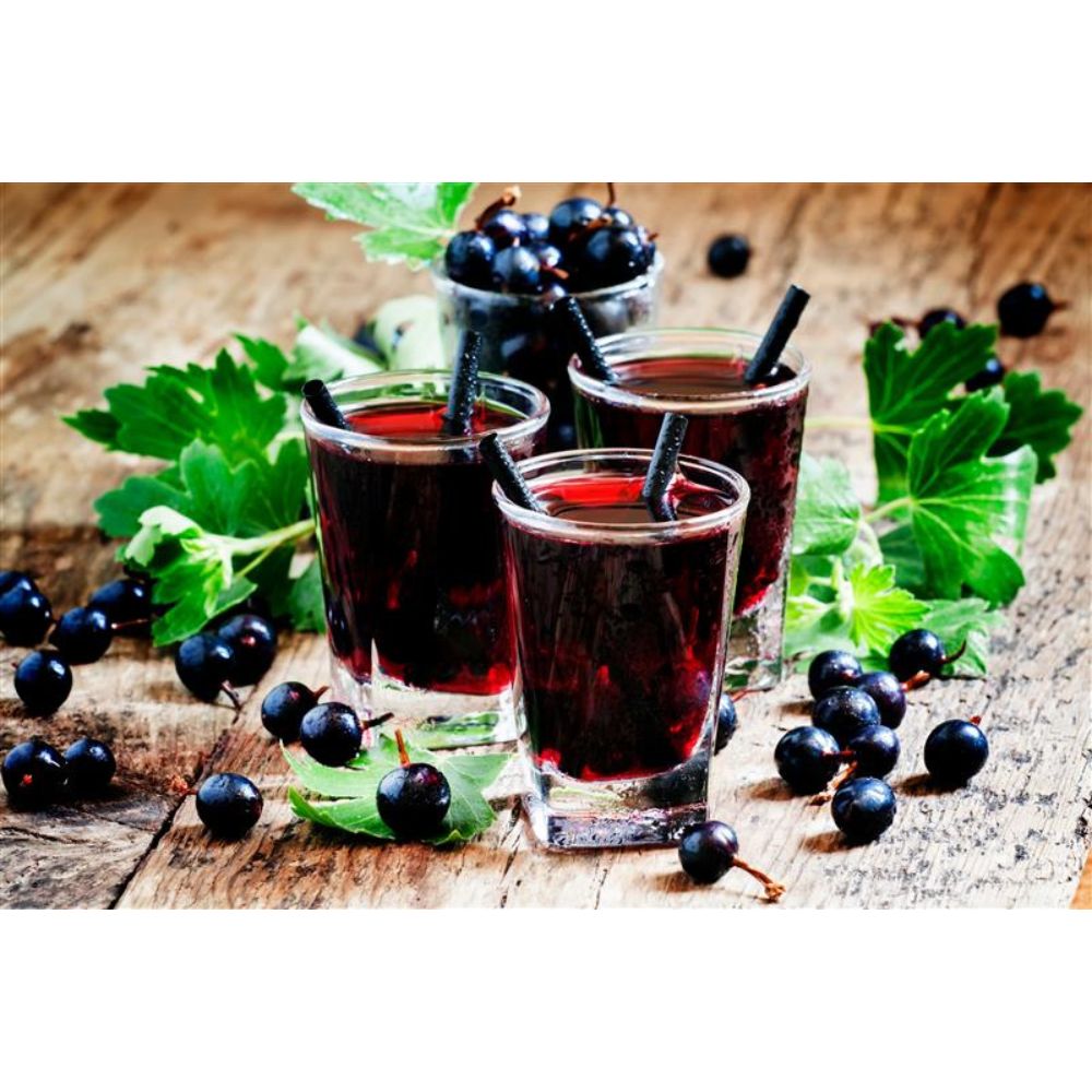 【96】【産直】おいしい発酵カシス(2本組)(日・株式会社コメット)(週刊新潮紹介)