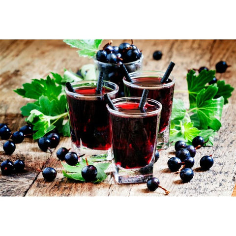 【96】【産直】おいしい発酵カシス(2本組)(日・株式会社コメット)(週刊新潮紹介)