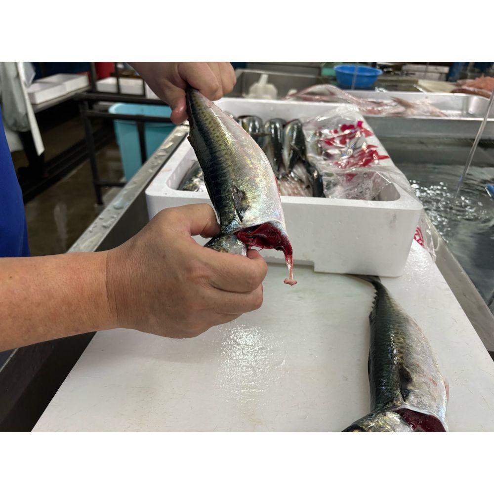 【89】【産直】鹿児島・第一鹿屋魚市場 目利きのひろしげ 首折れさば漬け丼(日・株式会社福島鮮魚)(週刊新潮紹介)