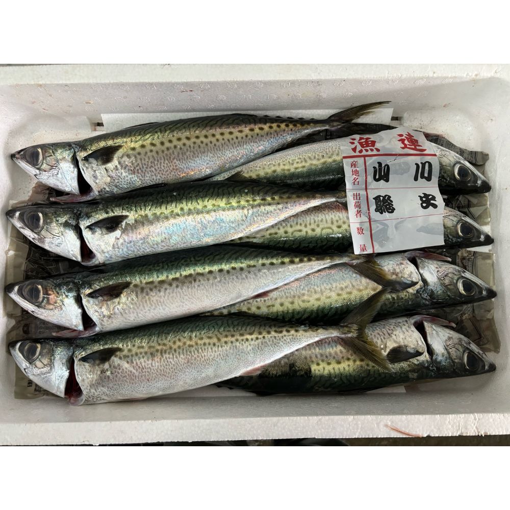 【89】【産直】鹿児島・第一鹿屋魚市場 目利きのひろしげ 首折れさば漬け丼(日・株式会社福島鮮魚)(週刊新潮紹介)