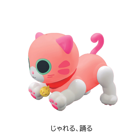 ROBOCATTY フレンドリーmomo (日・アローズ）