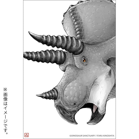 ディノサンえほん　きょうりゅうえんへいこう（サイン本：トリケラトプス）
