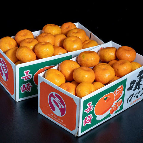 【110】【産直】【糖度12度以上選別】長崎県産みかん『味ロマン』2S～M 約2.5kg×2箱（日・JA長崎せいひ）（週刊新潮紹介）