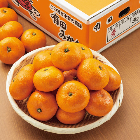 【産直】［期間限定］小南農園 有田みかん（3キロ）（日・小南農園）