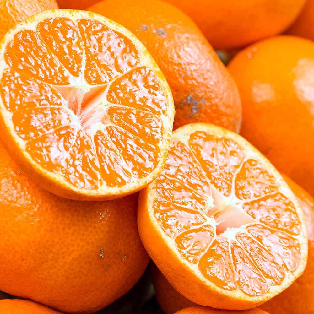 【110】【産直】【糖度12度以上選別】長崎県産みかん『味ロマン』2S～M 約2.5kg×2箱（日・JA長崎せいひ）（週刊新潮紹介）