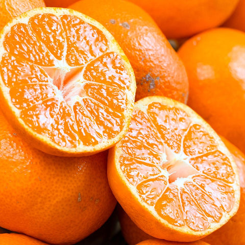 【110】【産直】【糖度12度以上選別】長崎県産みかん『味ロマン』2S～M 約2.5kg×2箱（日・JA長崎せいひ）（週刊新潮紹介）