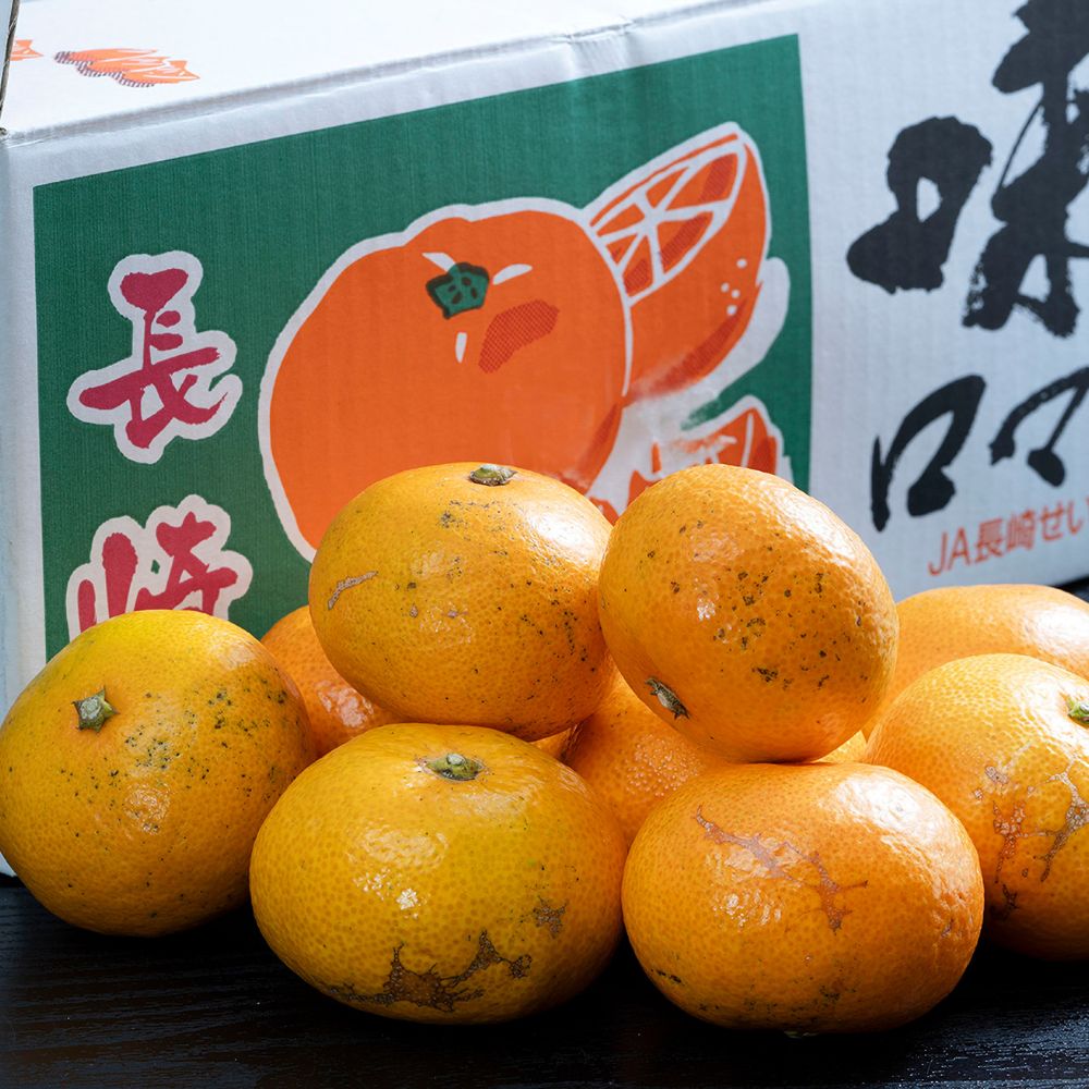 【110】【産直】【糖度12度以上選別】長崎県産みかん『味ロマン』2S～M 約2.5kg×2箱（日・JA長崎せいひ）（週刊新潮紹介）