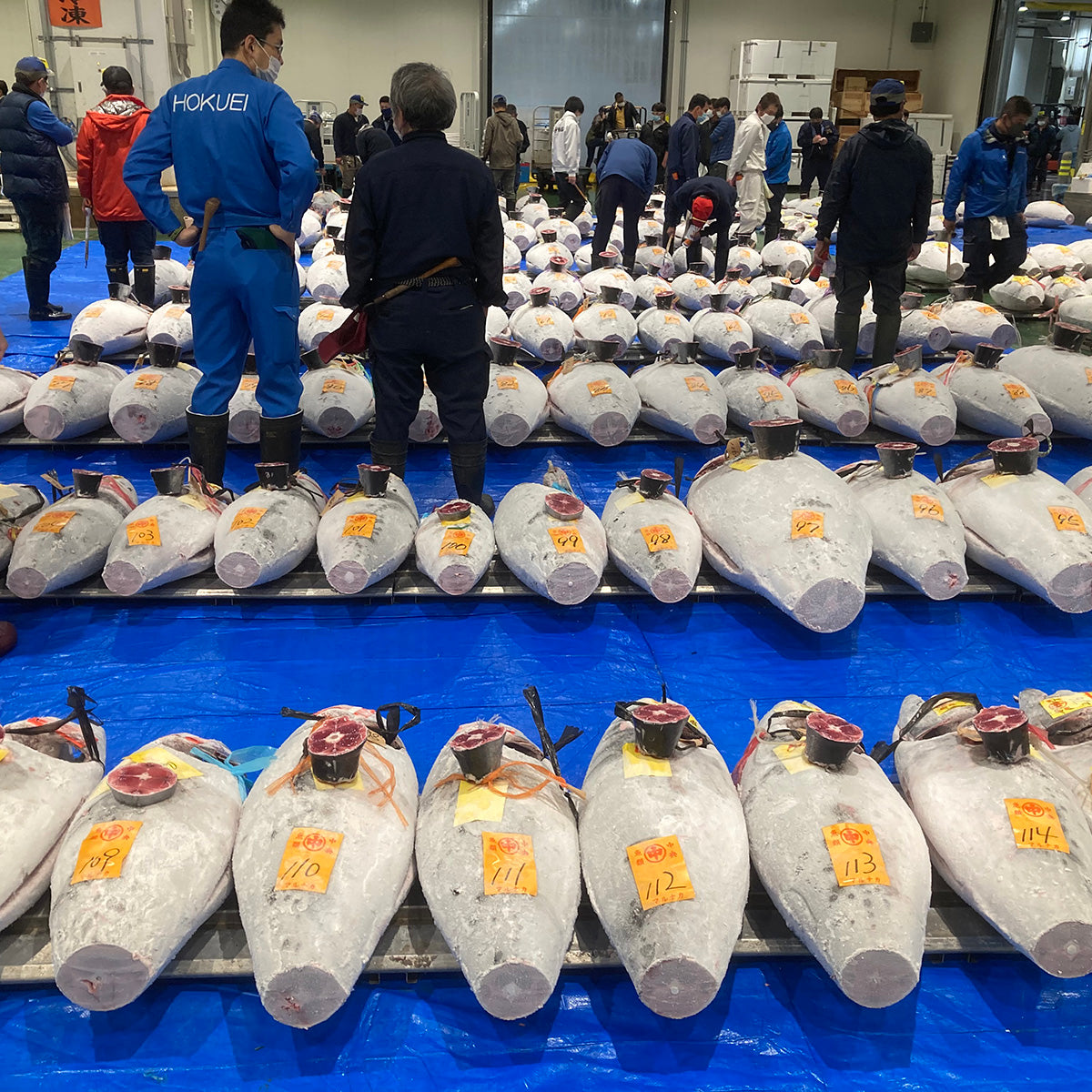 【産直】まぐろ屋のまかない丼（6食入り)（日・ホクエイ食品株式会社）