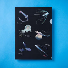 6_23b8822e-5e57-4da3-b294-