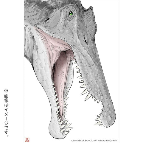 ディノサンえほん　きょうりゅうえんへいこう（サイン本：スピノサウルス）