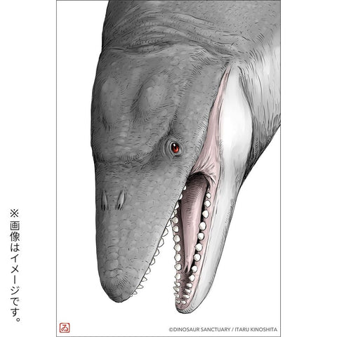 ディノサンえほん　きょうりゅうえんへいこう（サイン本：モササウルス）